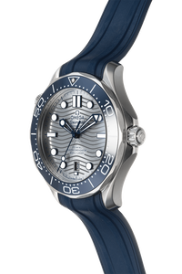 Seamaster Diver Co-Axial Stainless Steel Automatic