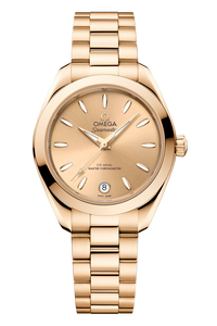 Seamaster Aqua Terra 150M