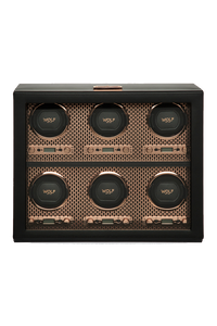 Axis 6 Piece Watch Winder