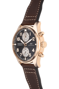 Pilot's Antoine De Saint Exupery Limited Edition Rose Gold Automatic