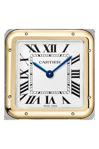 Panth&egrave;re de Cartier, Yellow Gold & Steel, Large