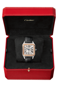 Santos-Dumont, Large Model