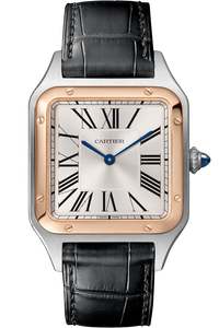 Santos-Dumont, Large Model