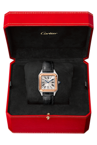 Santos-Dumont, Small Model