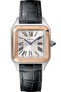 Santos-Dumont, Small Model