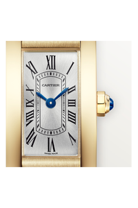 Tank Am&eacute;ricaine, Mini Model