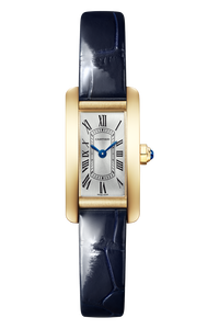 Tank Am&eacute;ricaine, Mini Model