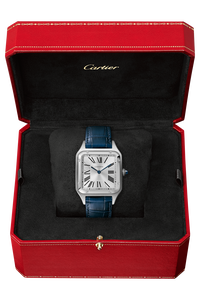 Santos-Dumont, Large Model