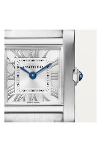 Tank Fran&ccedil;aise, Small Model